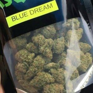Buy blue Dream online