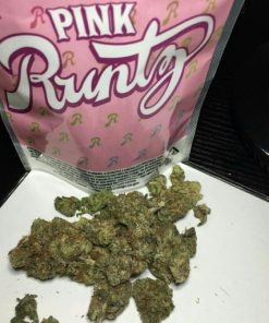 Buy Pink Runtz online